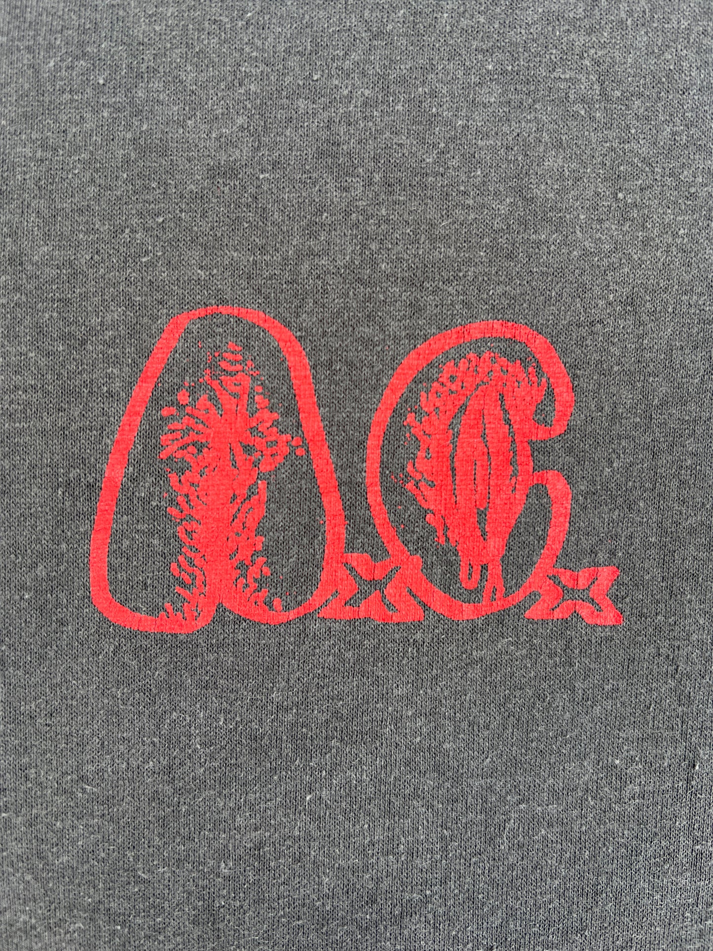 1990s (AxCx) Anal Cunt "Another" Tour Band Tee