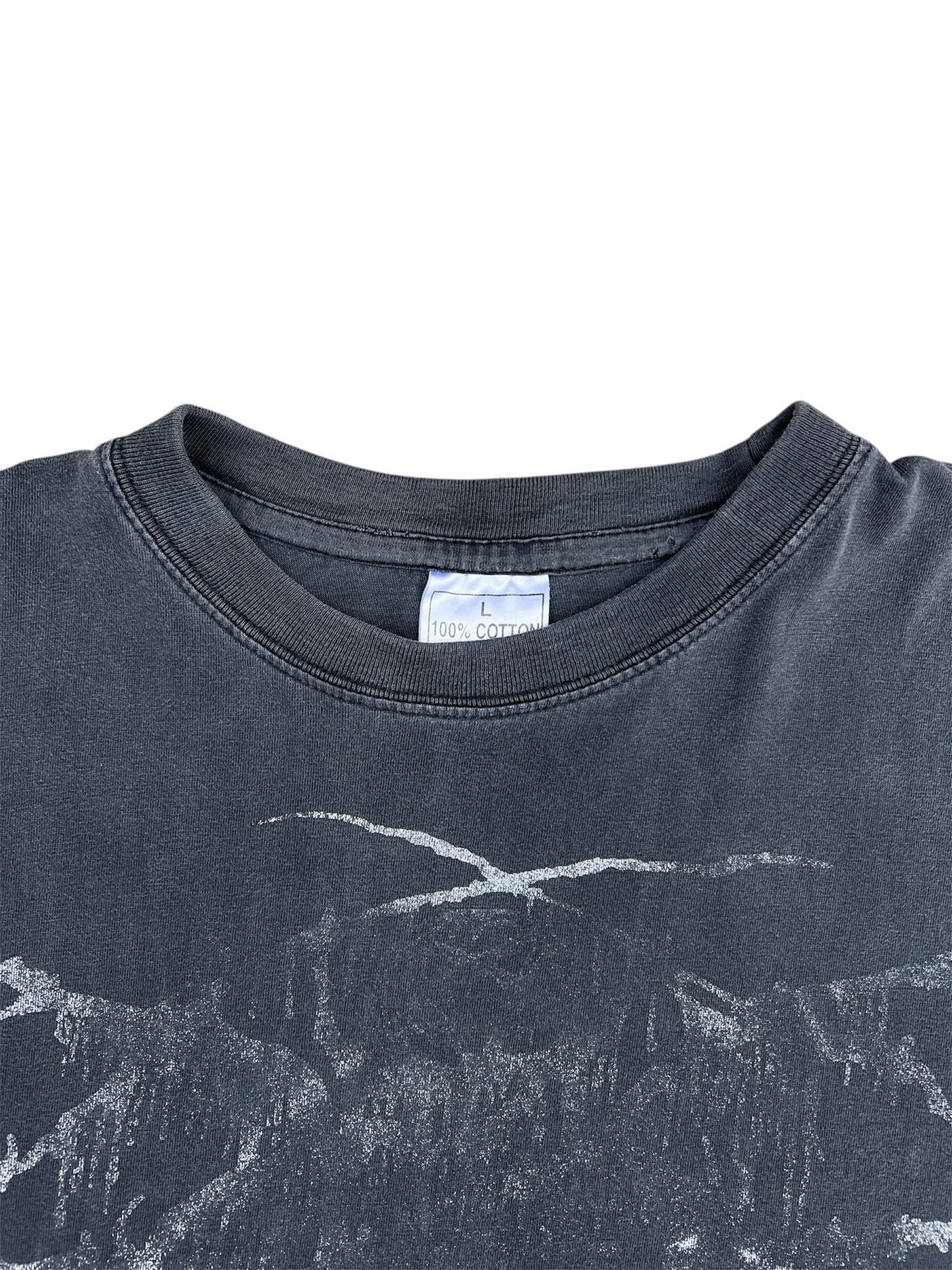 1990s Darkthrone "As Wolfs Among Sheep We Have Wandered" Band Tee